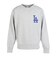 エムエルビー（MLB）野球ウェア プリントスウェット ML0526FW0001-GRY-LD