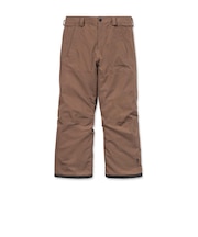 ボルコム（Volcom）DUA GORE-TEXパンツ 27SN VG1352656 DT0
