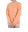 ビラボン（BILLABONG）ARCH CLEAN ロゴ トレーナー BD014001 NGP0