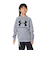 アンダーアーマー（UNDER ARMOUR）長袖Tシャツ キッズ テック テリー ロゴ クルー 1381171 035