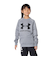 アンダーアーマー（UNDER ARMOUR）長袖Tシャツ キッズ テック テリー ロゴ クルー 1381171 035