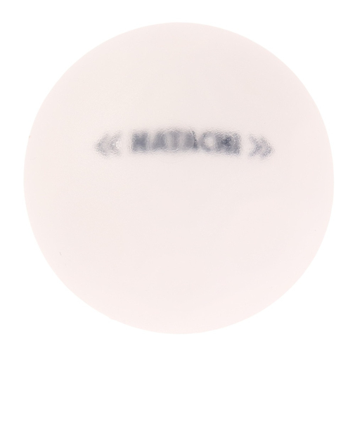ハタチ（HATACHI）グラウンドゴルフ シュートボール ホワイト BH3460-01