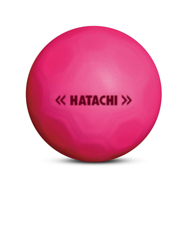 ハタチ（HATACHI）グラウンドゴルフ SHOOTボール BH3460-64
