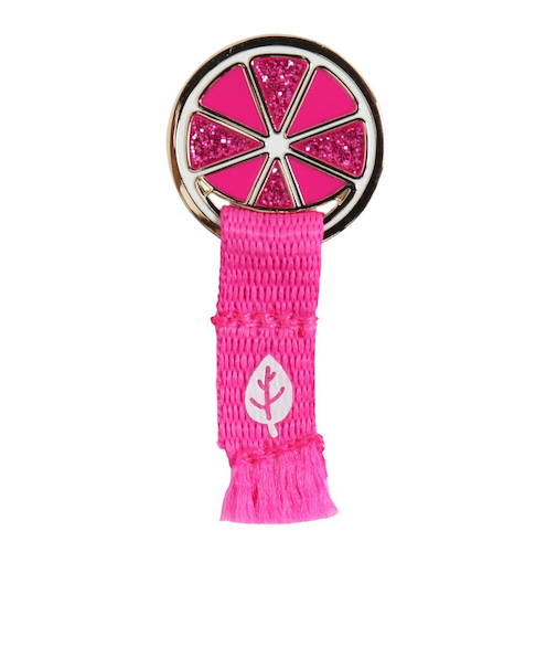 マルシン（MARUSHIN）グラウンドゴルフ フルーツリボンマーカー GMFRP