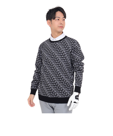 エピキュール（epicure）ゴルフウェア 長袖 WJQクルーネックプルオーバー 151-19013-019