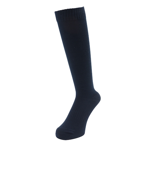 アドミラル ゴルフ（Admiral GOLF）ゴルフ 吸汗速乾 抗菌防臭 ロゴ ハイソックス ADMB4A21-NVY