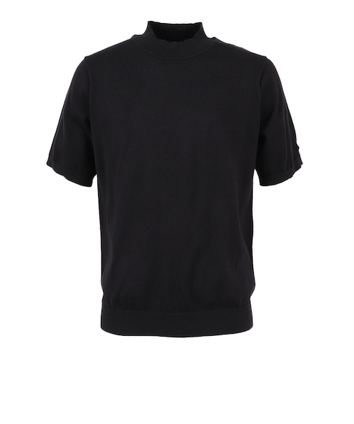 エピキュール（epicure）ゴルフウェア シンプル半袖モックネック 151-11341-019