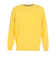 ルコックスポルティフ（lecoqsportif）ゴルフウェア 長袖ウールセーター QGMWJL01 YL00