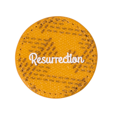 GMマーカー マスタード