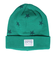 ピン(PING)ゴルフ STAR ニットキャップ HW-L2408 GN 37877