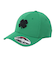 ゴルフ FLEX WAFFLE 10 キャップ BC5MFA10-GRN