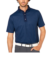 ゴルフウェア 抗菌 ワイドカラー 鹿の子 半袖 ポロシャツ 34572