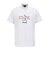 ピン（PING）モックネック ゴルフ SNAPTEX カノコ インレー Mr.PINGプリント 半袖ハイネックカットソー 621-6167401-030