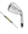 Dynamic Gold MID115
