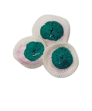 スノーピーク（snow peak）マントル S 3枚セット GP-001 ランタンスペア アクセサリ