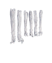 スノーピーク（snow peak）ロープセットPro レクタ Rope Set Pro. Recta TP-342-1