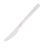 スノーピーク（snow peak）オールステン・ディナーナイフ All Stainless Dinner Knife NT-051 キャンプ バーベキュー カ…