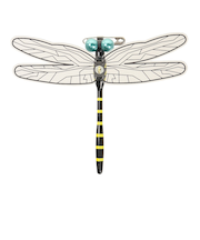 おにやんま君 オニヤンマ君 虫よけ 安全ピンタイプ ストラップ 34002