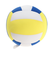 その他ブランド（OTHER BRAND）ビーズクッション20センチ バレー 935M1CM9381VB