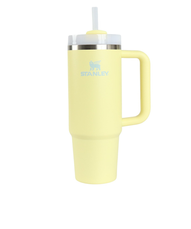 スタンレー（STANLEY）水筒 ボトル マグ H2.0 真空スリムクエンチャー 0.88L 10-10827-523