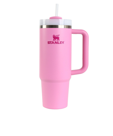 スタンレー（STANLEY）水筒 ボトル マグ H2.0 真空スリムクエンチャー 0.88L 10-10827-544