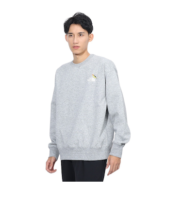 ザ・ノース・フェイス（THE NORTH FACE）トレーナー スウェット ズー ピッカー クルーネック NT62434 Z