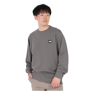 ザ・ノース・フェイス（THE NORTH FACE）トレーナー スウェット ヘザーロゴ クルーネック NT12334 SP