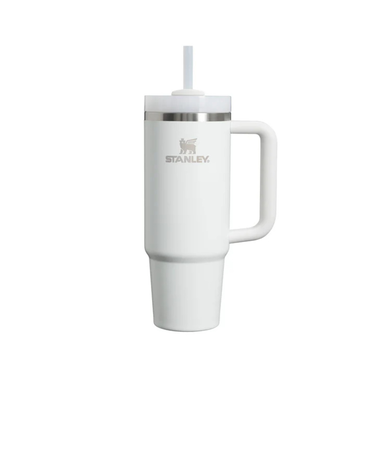 スタンレー（STANLEY）水筒 ボトル マグ H2.0 真空スリムクエンチャー 0.88L フロスト 10-10827-517
