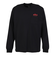 ザ・ノース・フェイス（THE NORTH FACE）ロンT フラッシュドライフラワーロゴ長袖Tシャツ NT82535 K