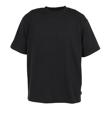 スノーピーク（snow peak）ロゴ Tシャツ 半袖 Printed Rogo T-Shirt BK NSD-TS-25AU004 019