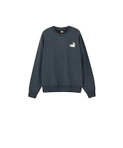 ザ・ノース・フェイス（THE NORTH FACE）トレーナー スウェット ズーピッカークルー NT12536 UN