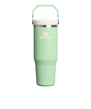 スタンレー(STANLEY)水筒 ボトル マグ アイスフローフリップストロー真空タンブラー ピスタチオ 10-12043-217