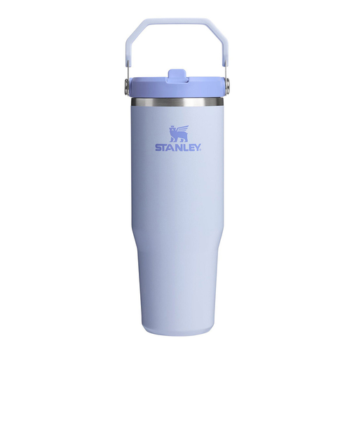 スタンレー（STANLEY）水筒 ボトル マグ アイスフローフリップストロー真空タンブラー 10-12043-216