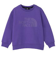 ザ・ノース・フェイス(THE NORTH FACE)トドラースウェット グラフィック クルーネック NTT62561 TP