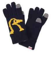 チャムス(CHUMS)ビッグブービー ニットグローブ 手袋 CH09-1365-N001