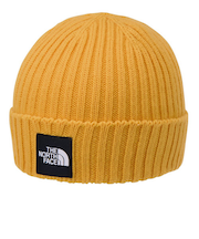 ザ・ノース・フェイス(THE NORTH FACE)ニット帽 トレッキング 登山 カプッチョリッド NN42544 SG