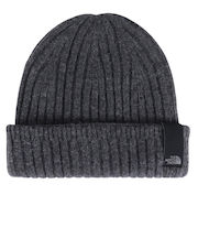 ザ・ノース・フェイス（THE NORTH FACE）ニット帽 ニットキャップ ラディアルウールビーニー NN42340 ZC ダークグレー