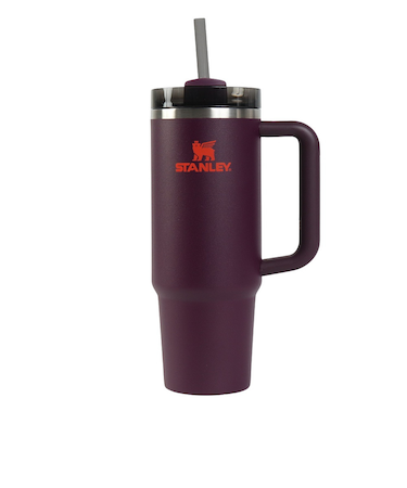 スタンレー（STANLEY）水筒 ボトル マグ H2.0 真空スリムクエンチャー 0.88L プラム 10-11825-251