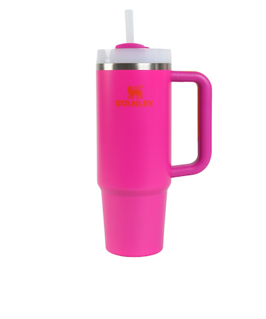 スタンレー（STANLEY）水筒 ボトル マグ H2.0 真空スリムクエンチャー 0.88L ビビッド 10-10827-729