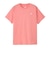 ザ・ノース・フェイス（THE NORTH FACE）ショートスリーブ フラッシュドライ ヌプシコットンTシャツ NTW32536 CH