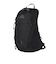 グレゴリー（GREGORY）バックパック リュック 登山 ハイキング アリオ20シャドウパイン ブラック 157881A798
