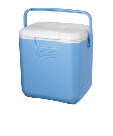 コールマン（Coleman）クーラーボックス テイク9デイドリーム 2238186
