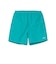 ヘリーハンセン（HELLY HANSEN）ショートパンツ バスクミッドショーツ HOE22625 CM