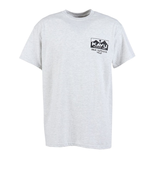 トゥルーロゴ 半袖Tシャツ 19822465Ash
