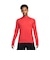 ナイキ（NIKE）ロンT ACG ドライフィット WILDSEE 1/4ジップ 長袖Tシャツ IM4224-696