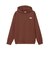 ザ・ノース・フェイス（THE NORTH FACE）トレーナー スウェット モーションフーディ NT12495 SQ