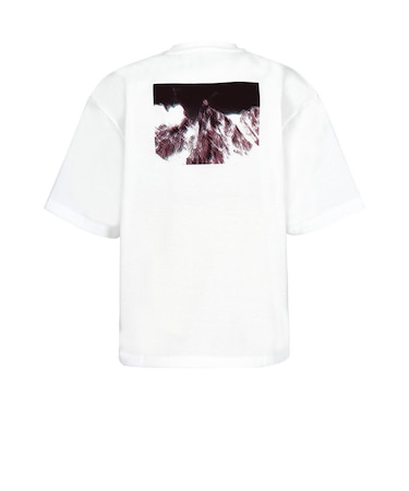 ミレー（Millet）アナグリフ 半袖Tシャツ MIV03286-N8014