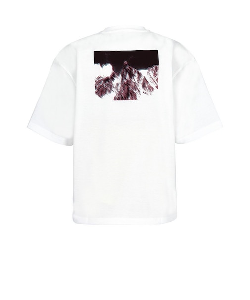 ミレー（Millet）アナグリフ 半袖Tシャツ MIV03286-N8014
