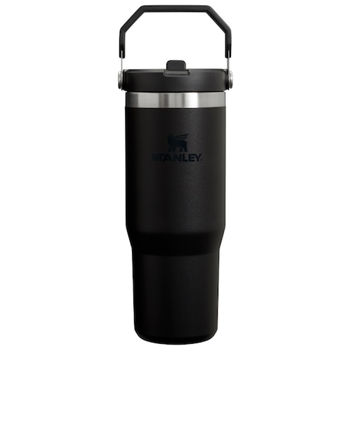 スタンレー（STANLEY）水筒 ボトル マグ アイスフロー フリップ