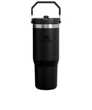 スタンレー(STANLEY)水筒 ボトル マグ アイスフロー フリップストロー2.0 真空断熱タンブラー 30 oz 1210001921085